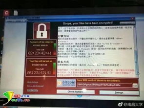 緊急安全通告 勒索病毒新型變種威脅加劇，請立即檢查并加固電腦防護設置